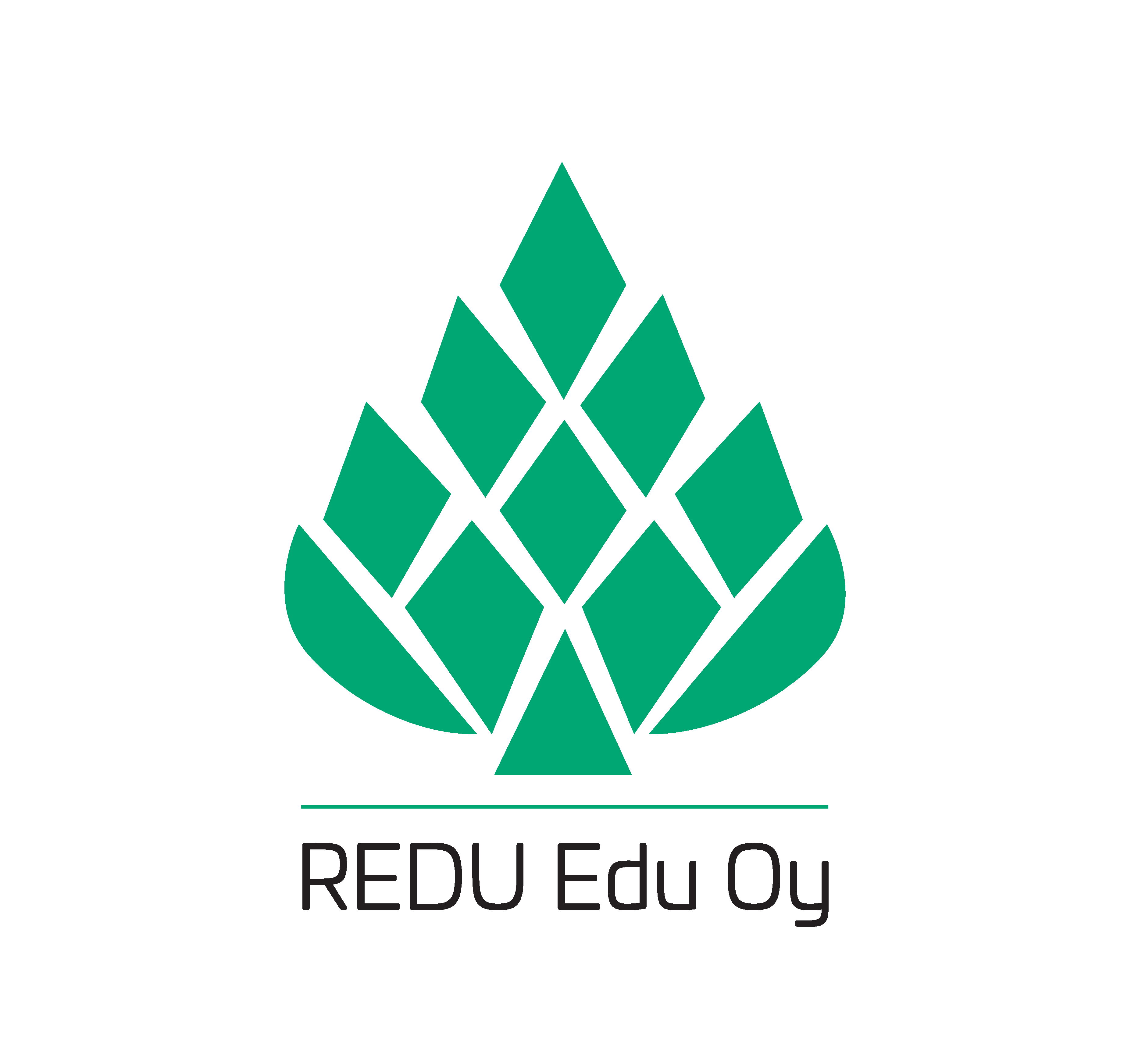 Redu Edu Oy